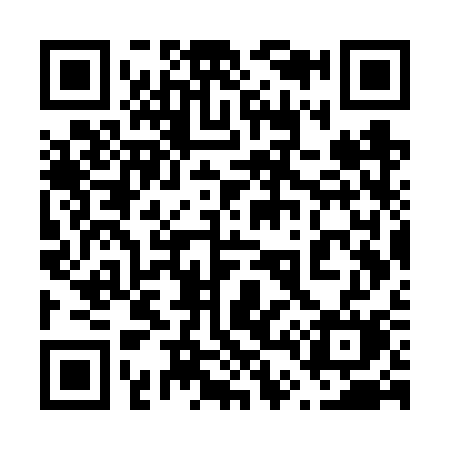 QR code for 647VSM