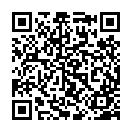 QR code for 650DTT