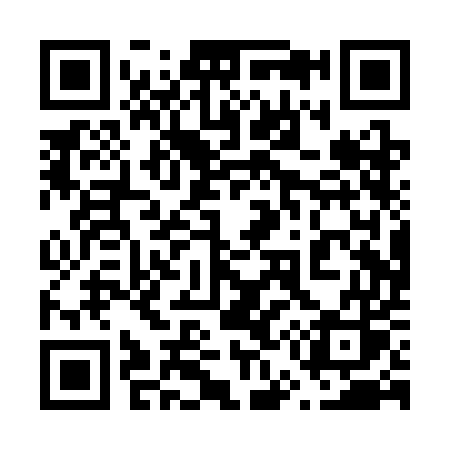 QR code for 650SES