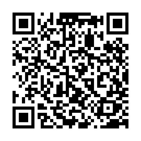 QR code for 653PMX