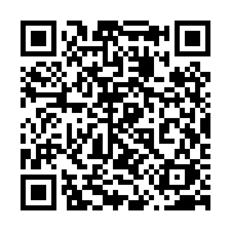 QR code for 653PSK