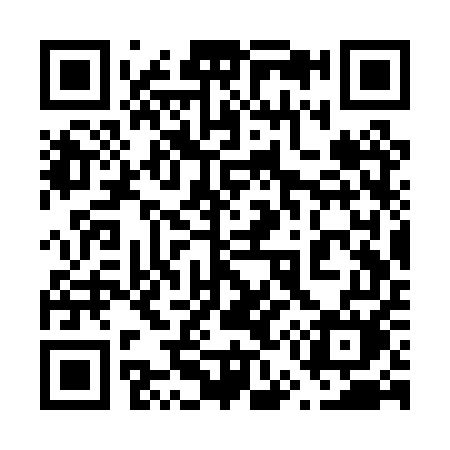 QR code for 653PUM