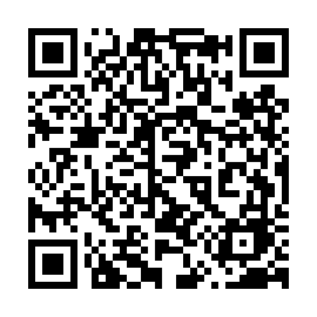 QR code for 655DVE