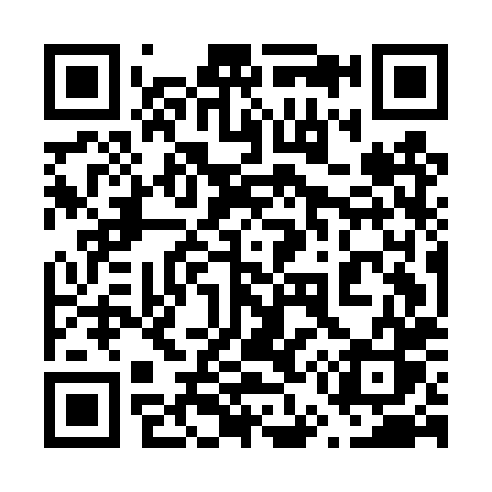 QR code for 655DXS