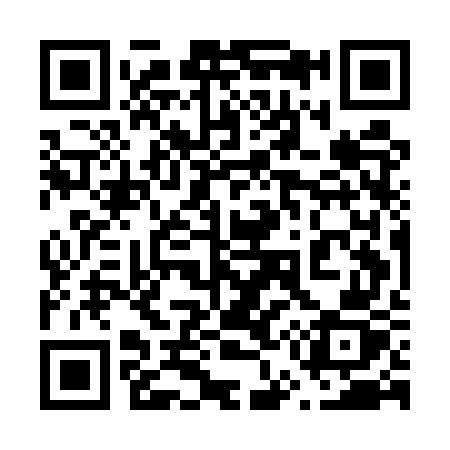 QR code for 655EWZ