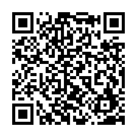 QR code for 655JSF