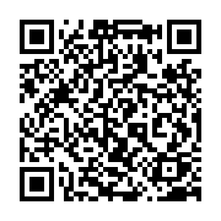 QR code for 655LSP