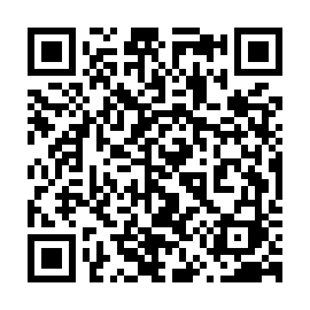 QR code for 655MVI