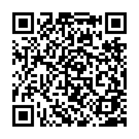 QR code for 655NMA
