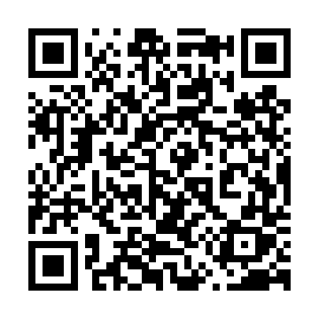 QR code for 655TTX