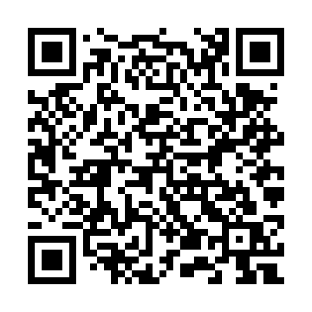 QR code for 656DSS