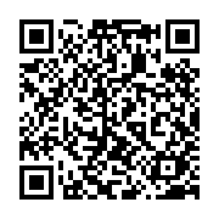 QR code for 656PIM