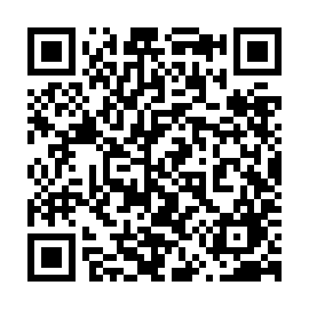 QR code for 656ZIG
