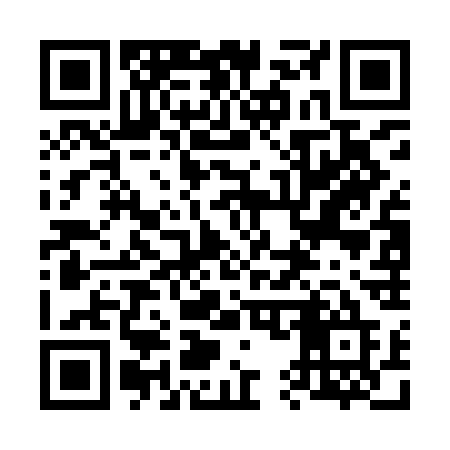 QR code for 657ICE