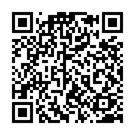 QR code for 666MCP