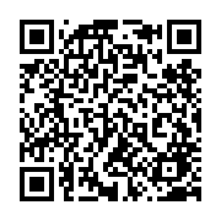 QR code for 667DMG
