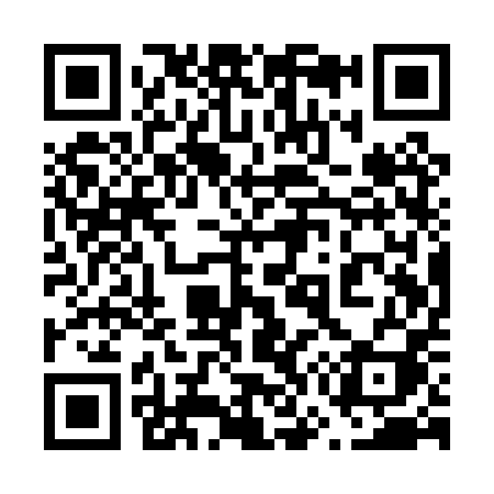 QR code for 671PPI
