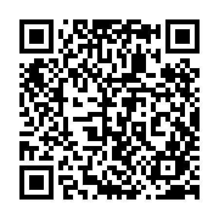 QR code for 672PIN