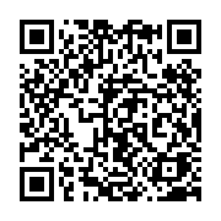QR code for 675PKA