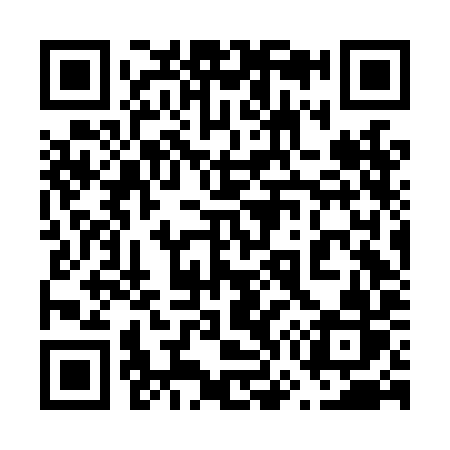 QR code for 676LIR