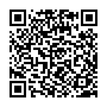 QR code for 690PZQ