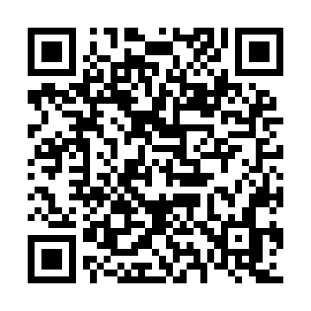 QR code for 696INN