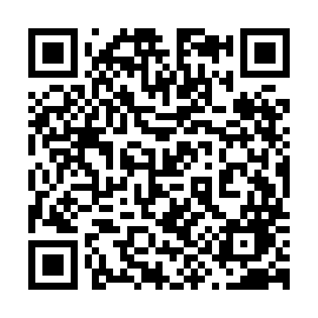 QR code for 699HMG