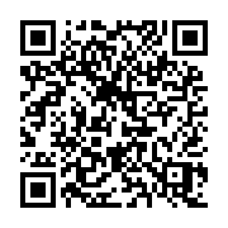 QR code for 699IAP