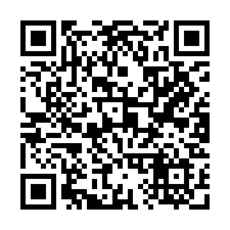 QR code for 699IBL
