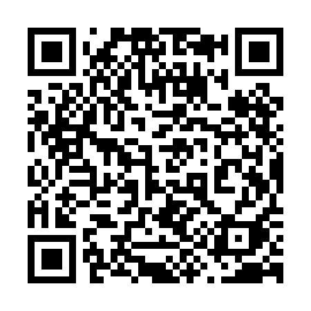 QR code for 699PAI