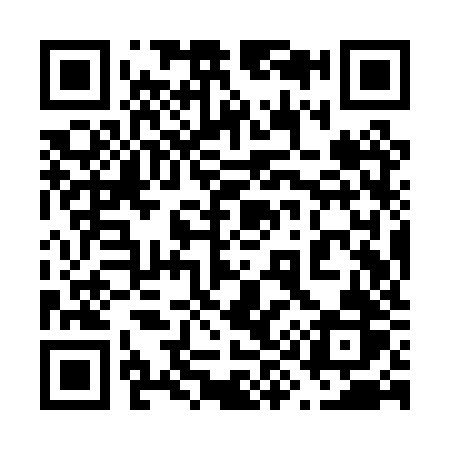 QR code for 699PZR