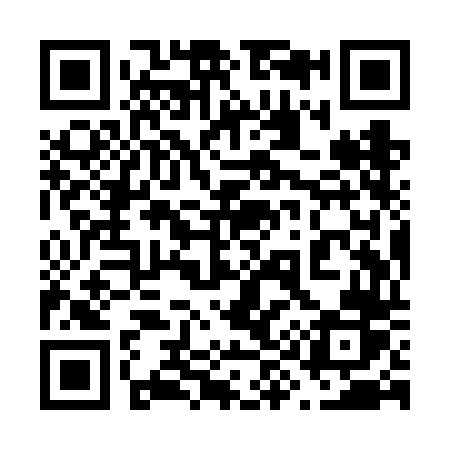 QR code for 699VDR