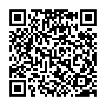 QR code for 699XIX