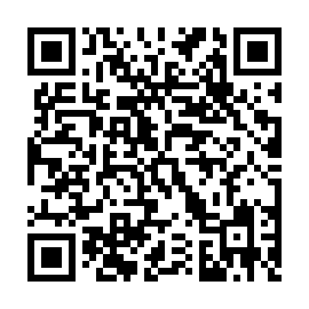QR code for 713WPI