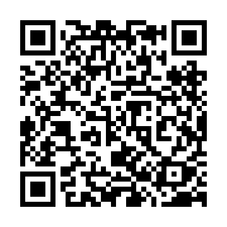 QR code for 728RAY
