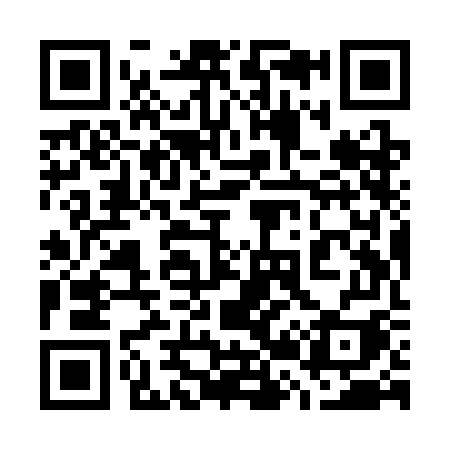 QR code for 729SGI