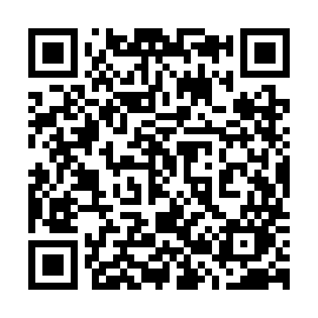 QR code for 729SMO
