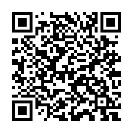 QR code for 733PKG