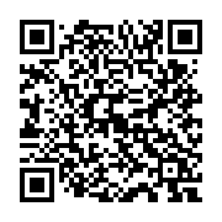 QR code for 737FPV