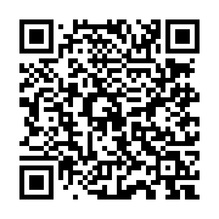 QR code for 737LOL
