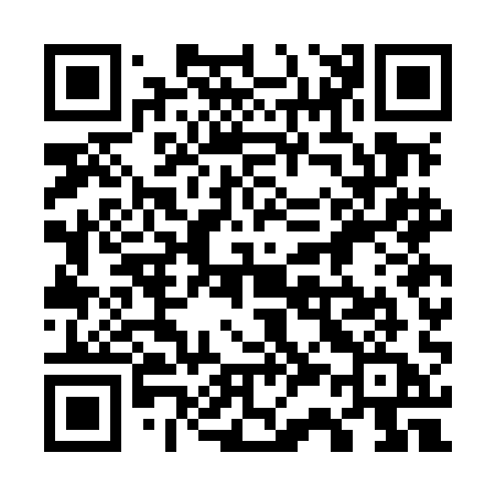 QR code for 737MAA