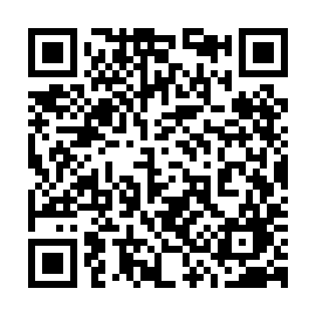 QR code for 737PIG
