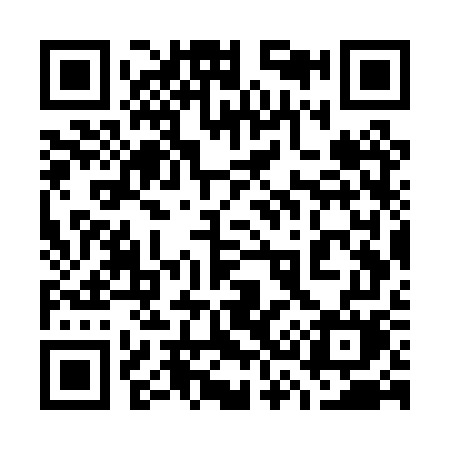 QR code for 737PWM
