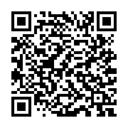 QR code for 737ZOC
