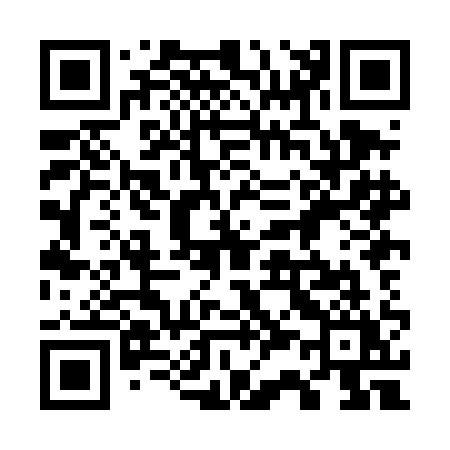QR code for 738DAY