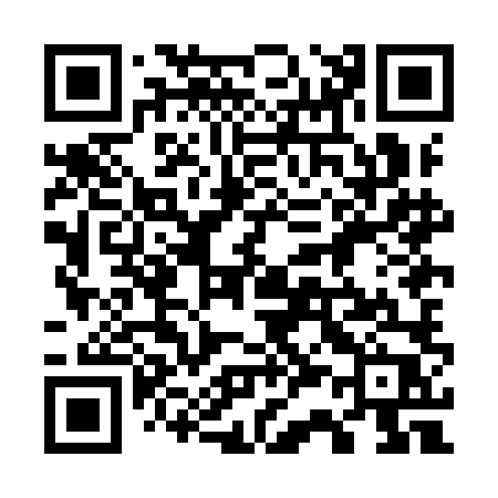 QR code for 738ILP