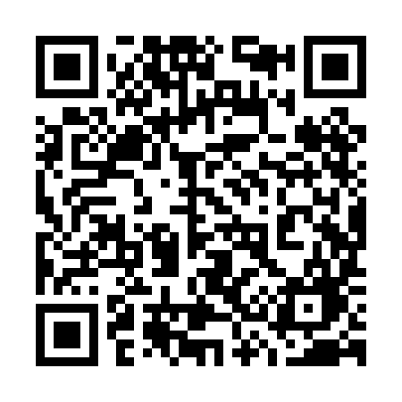QR code for 738PIG
