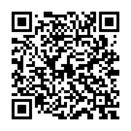 QR code for 738SAX