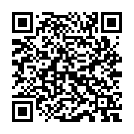 QR code for 738SWR