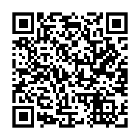 QR code for 767MIS